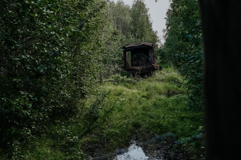 север1.jpg